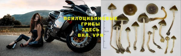 марки nbome Зеленодольск