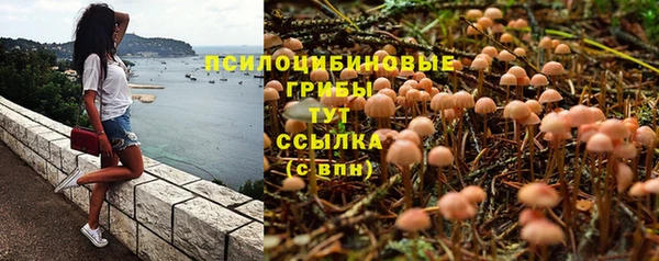 mdpv Заволжье