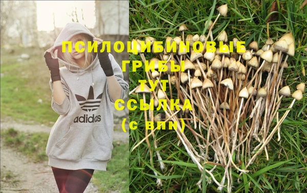 гашишное масло Россошь