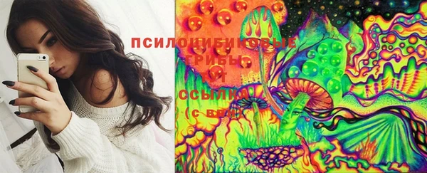 марки lsd Заводоуковск