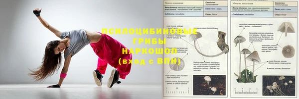 спайс Заволжск