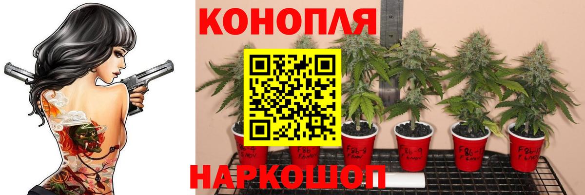 Свободный  МАРИХУАНА MAZAR  Вход с VPN  Бошки марихуана гибрид  Каннабис SATIVA & INDICA  Конопля SATIVA & INDICA 